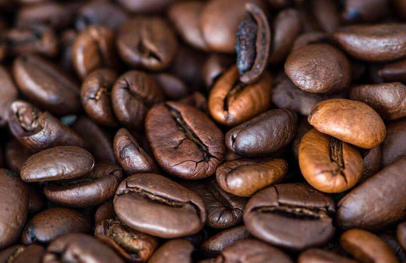 Buon Ma Thuot: Specialty Coffee Tour and Brewing Experience - 8:00 AM Pickup From Central Buon Ma Thuot