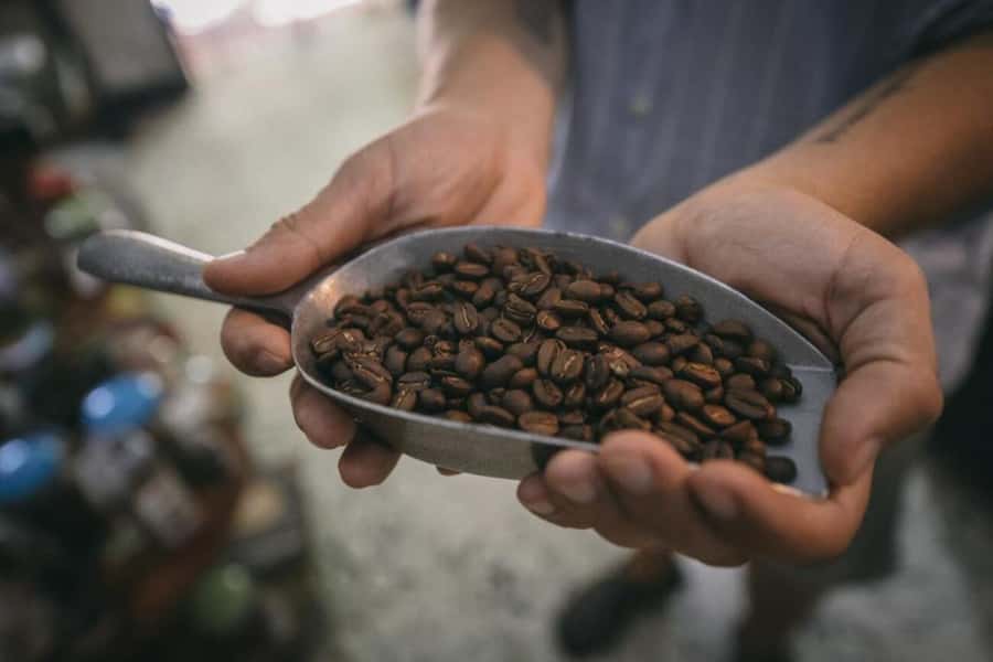 Cartagena Coffee Masterclass: Artisanal Roasting and Brewing - Grinding and brewing with expert guidance