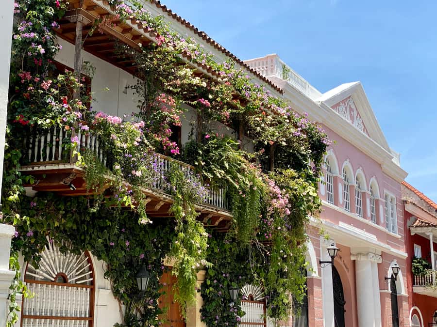 Cartagena: History, Culture & Coffee Experience - The guide can shape the whole experience