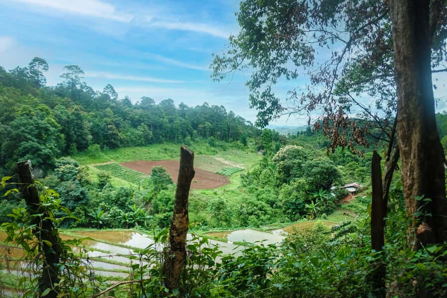 Chiang Mai Coffee Full Day Tour: Trek, Brew & Roast Journey. - What to bring and who should skip it