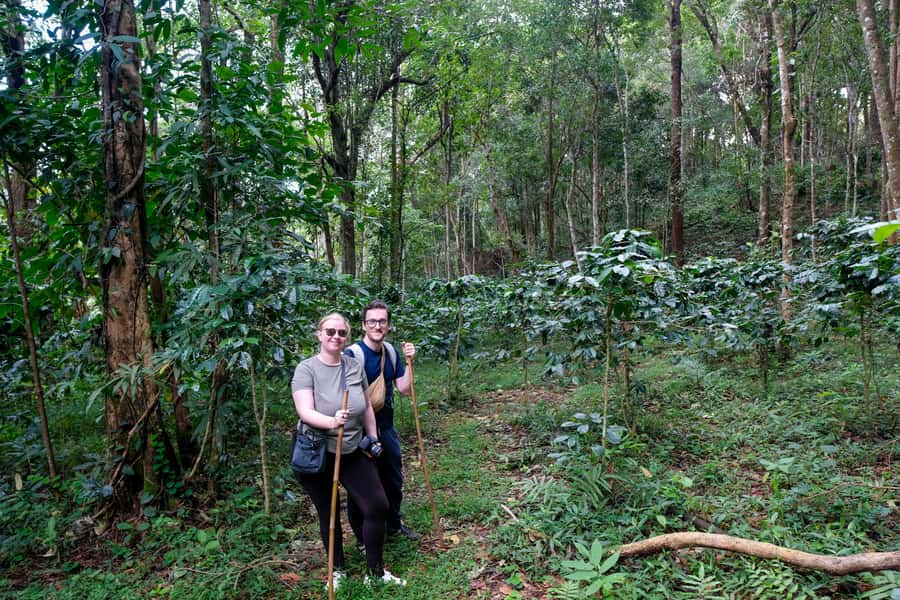 Chiang Mai Coffee Full Day Tour: Trek, Brew & Roast Journey. - Leaving Chiang Mai for the 1,400-meter highlands
