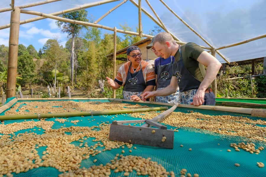 Chiang Mai Coffee Full Day Tour: Trek, Brew & Roast Journey. - Farm-to-table lunch with Northern Thai flavor