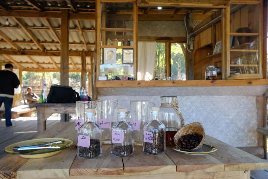 Chiang Mai Coffee Full Day Tour: Trek, Brew & Roast Journey. - What makes the small group valuable