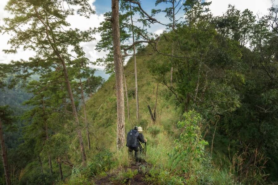 Chiang Mai : Thep Sadet & Coffee Plantation Full Day Hiking - What the $52 price gives you