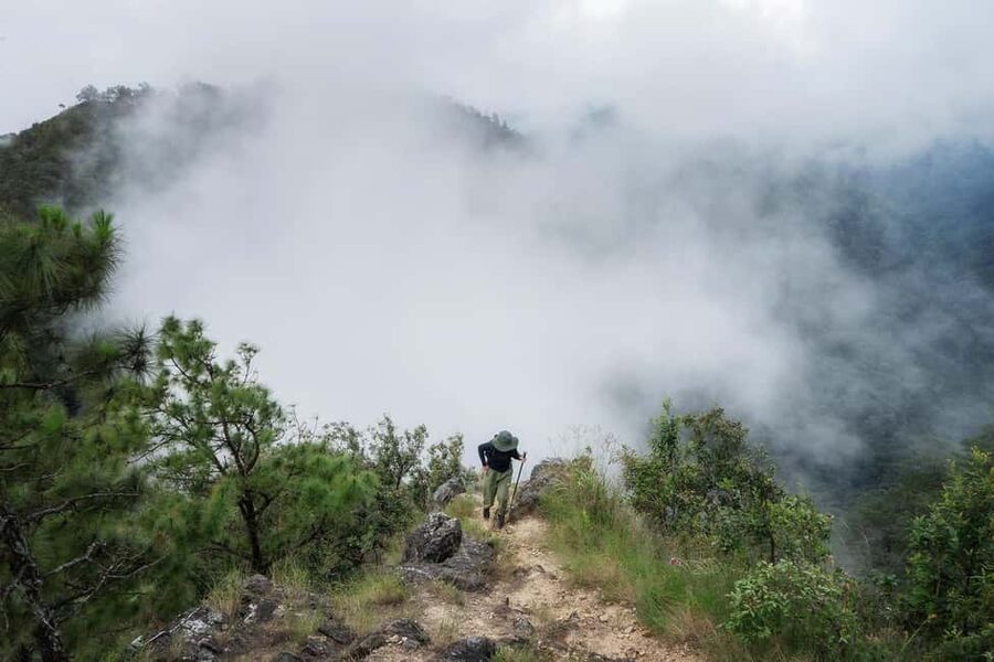 Chiang Mai : Thep Sadet & Coffee Plantation Full Day Hiking - The guides and the small-group advantage