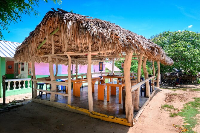 Cigar, Coffee and Mofongo Tour in Dominican Republic - Meeting Angel, Blanca, and Scooby Doo