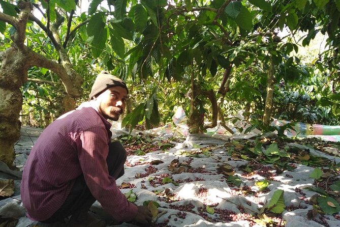 Classic Coorg Coffee Plantation experience - The final 30 minutes, coffee at the host’s house