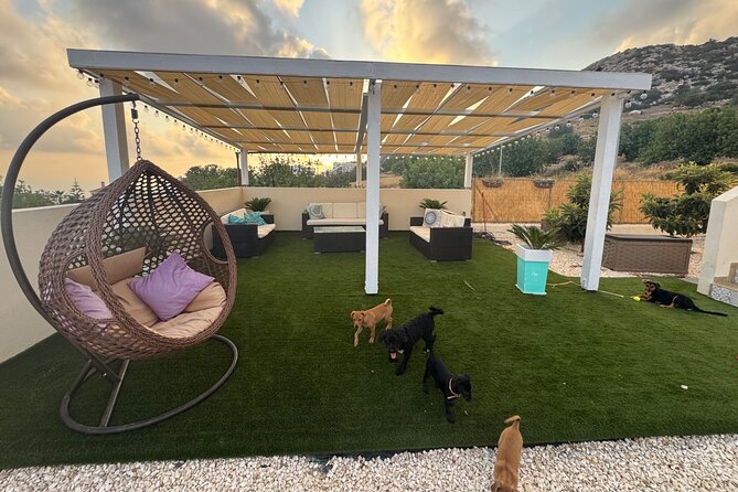 Coffee Cake and Cuddles with Rescue Puppies in a Sea View Villa - Practical details before you book