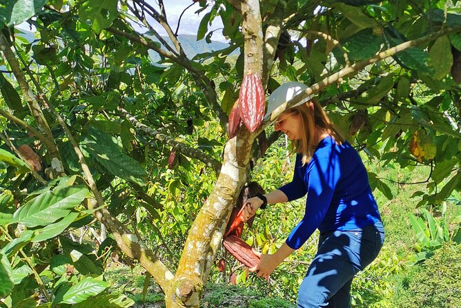 Coffee & Chocolate Private Tour in Medellin: Genuine Experience - The Drive North from Medellín