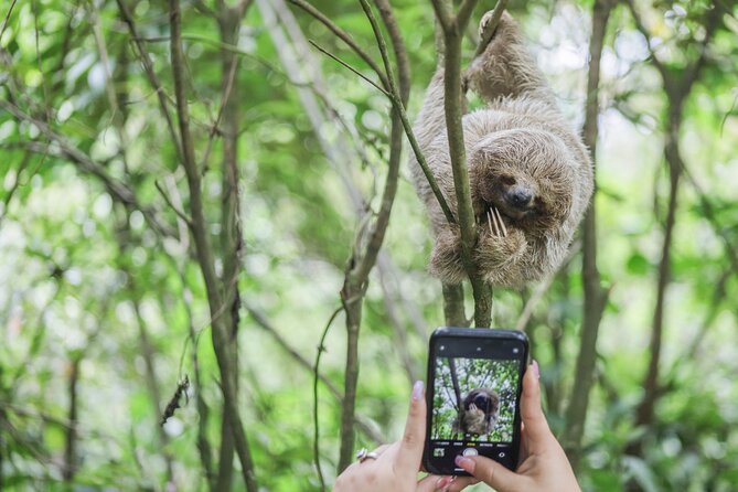 Coffee & Chocolate Tour+Sloths Park & Llanos de Cortez Waterfall - From Tamarindo to Bijagua: a long but useful ride