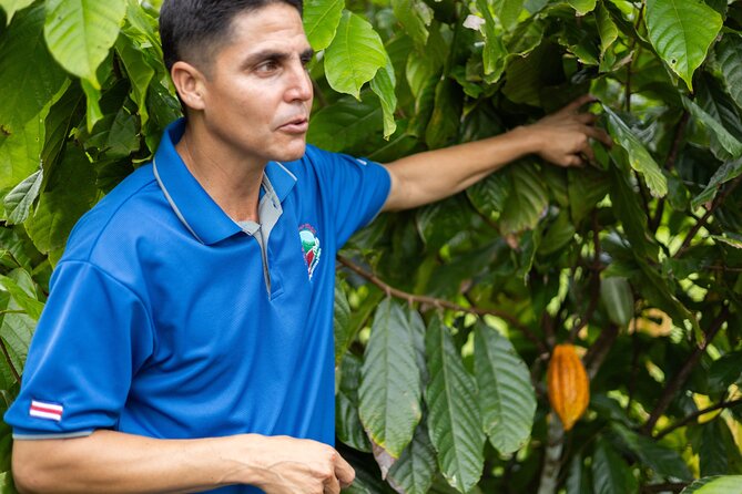 Coffee & Chocolate Tour+Sloths Park & Llanos de Cortez Waterfall - Coffee, cacao, and a hands-on tasting