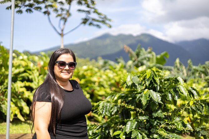 Coffee & Chocolate Tour+Sloths Park & Llanos de Cortez Waterfall - Who should book this private day?