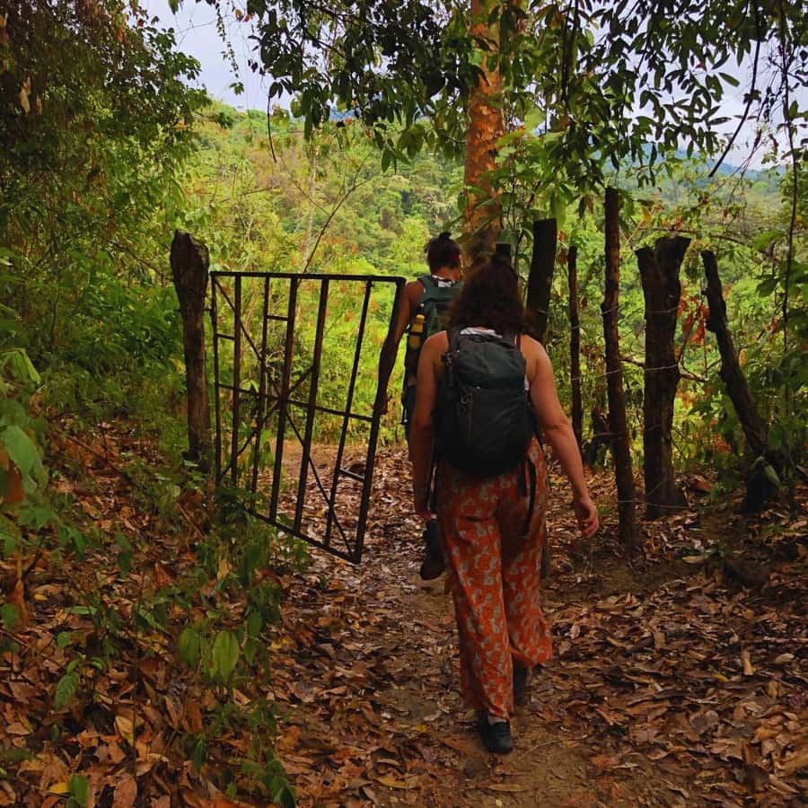 Coffee, Cocoa and Trekking Tour in Minca: Nature, Crops and Production - Key points before you book