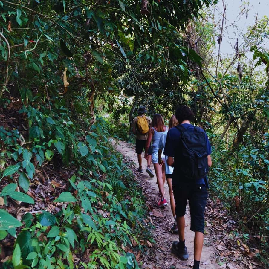 Coffee, Cocoa and Trekking Tour in Minca: Nature, Crops and Production - A waterfall, natural pool, and short swim