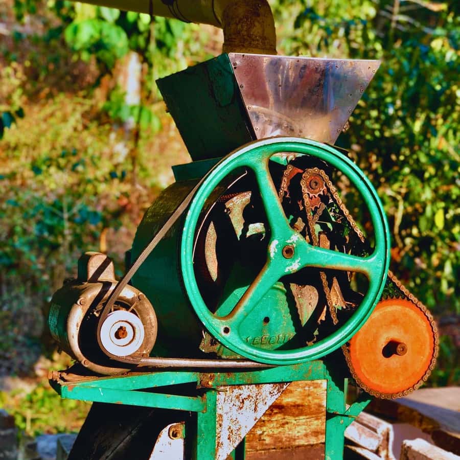 Coffee, Cocoa and Trekking Tour in Minca: Nature, Crops and Production - How difficult is the walk?