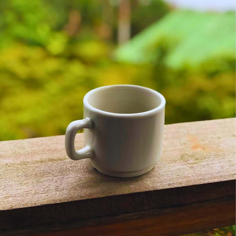 Coffee, Cocoa and Trekking Tour in Minca: Nature, Crops and Production - Why the sustainability angle matters