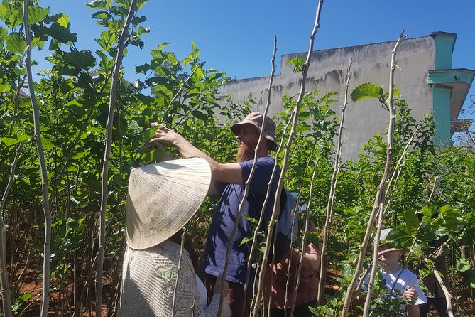 Coffee & Culture Experience _From Farm to Cup by Elon Farm - From Red Cherries To Green Beans