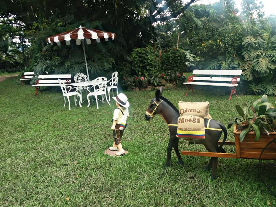 Coffee Experience: Hacienda Coloma Tour from Bogotá - Key points before you book