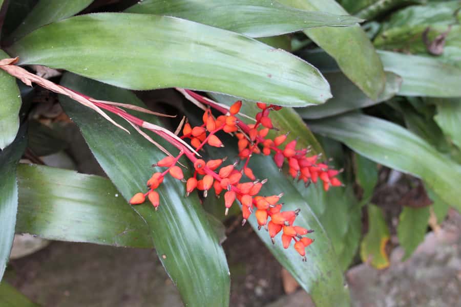 Coffee Experience: Hacienda Coloma Tour from Bogotá - The cup that follows the lesson