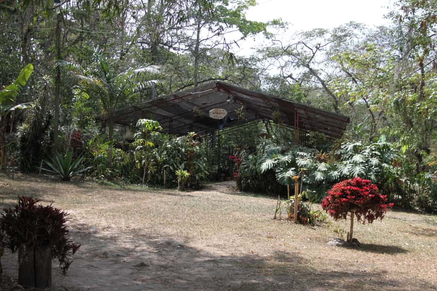 Coffee Experience: Hacienda Coloma Tour from Bogotá - What to wear and carry