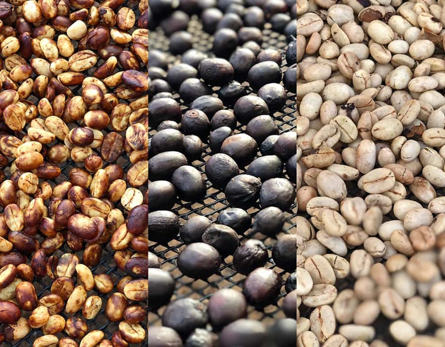 Coffee Farm and Salento Walking Tour - What the $93 price means