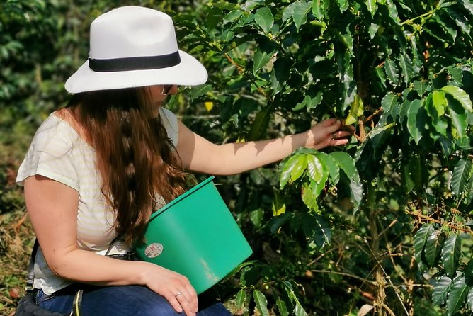 Coffee Farm & ATVs Private Tour in Medellin: Stunning Views & Fun - Key points before you book