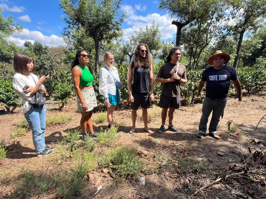 Coffee farm experience - Why this coffee tour feels different