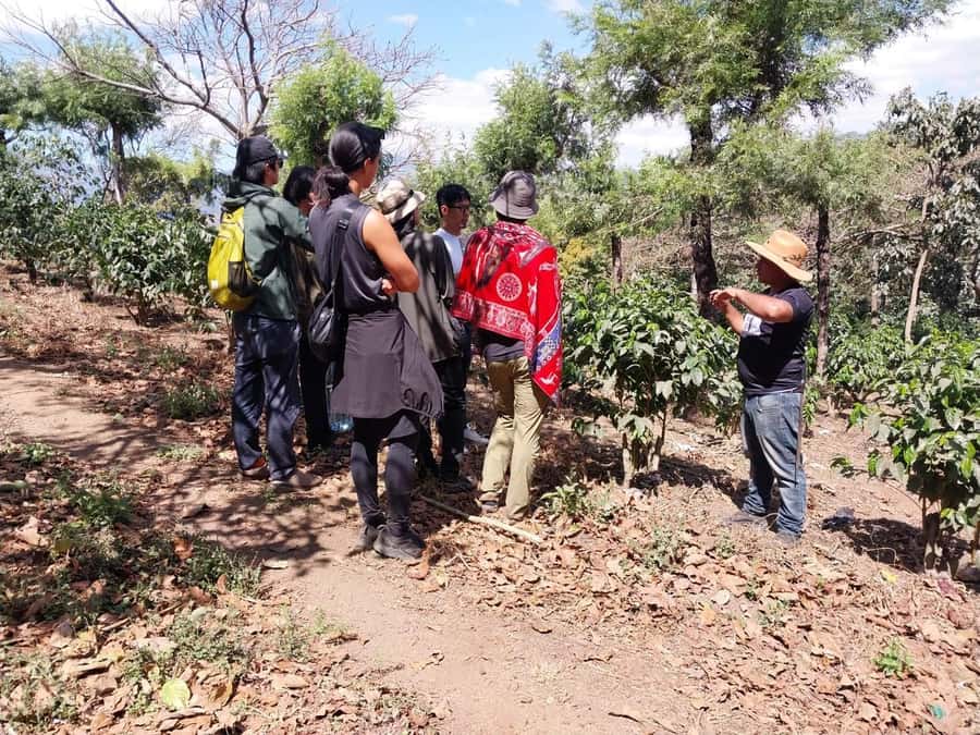 Coffee farm experience - Is $55 a fair price?