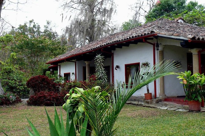 Coffee Farm Experience Private Day Tour - Coffee tasting and coffee liqueur