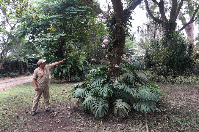 Coffee Farm Experience Private Day Tour - Who should book this day trip?