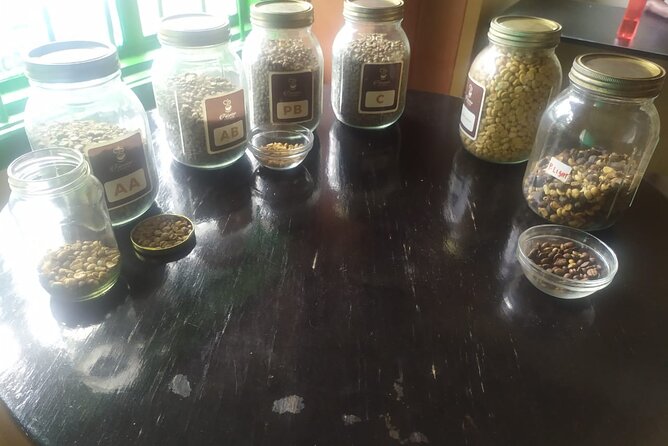 Coffee Farm Half-Day Tour in Kenya - What is included, and what is not