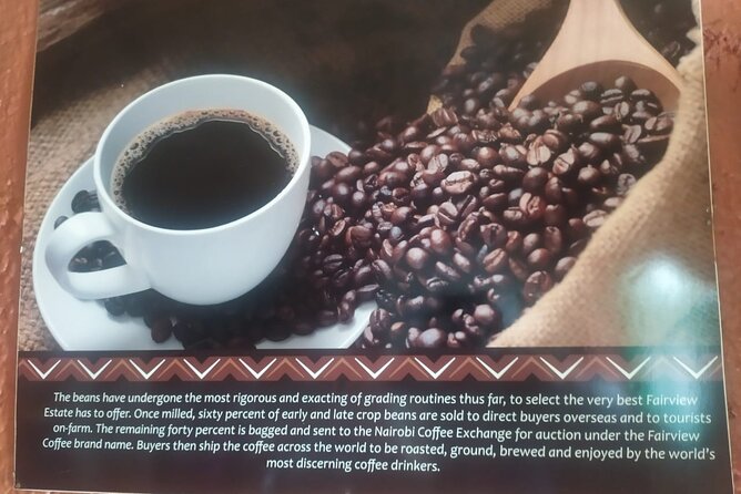 Coffee Farm Half-Day Tour in Kenya - Who will get the most from this visit?