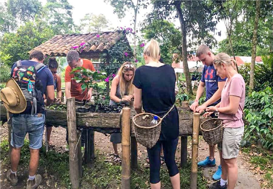 Coffee Farm Tour at Finca El Ocaso from Salento - Key points at a glance