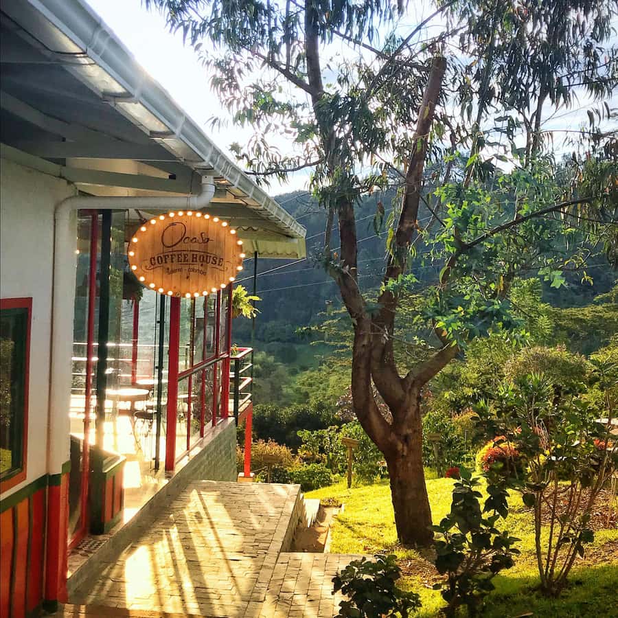 Coffee Farm Tour at Finca El Ocaso from Salento - The coffee tasting and why it matters