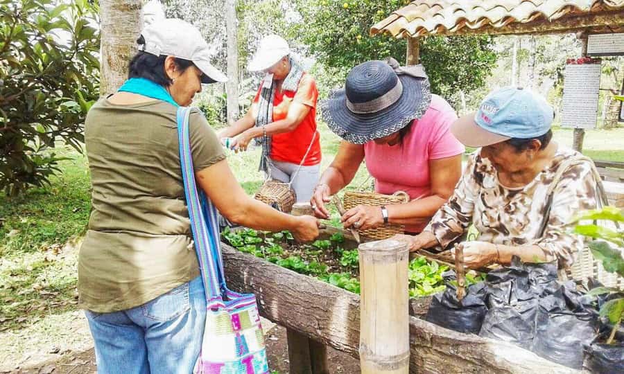 Coffee Farm Tour at Finca El Ocaso from Salento - Who will enjoy this farm visit?