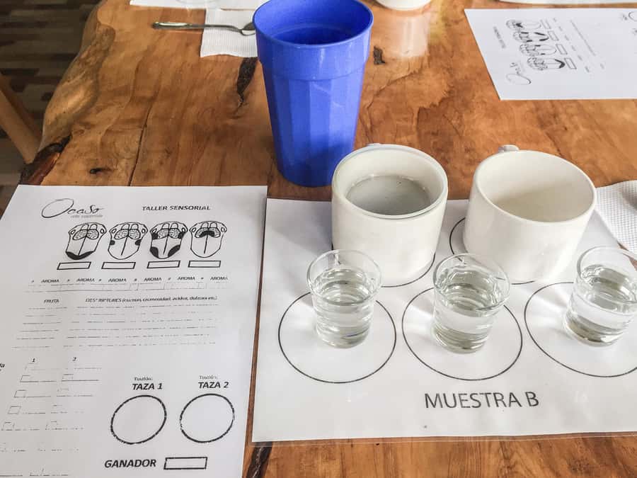 Coffee Farm Tour at Finca El Ocaso from Salento - Practical tips before you go