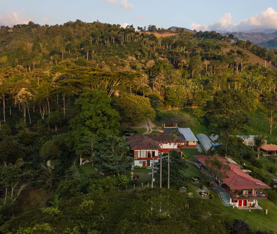Coffee Farm Tour at Finca El Ocaso from Salento - Should you book Finca El Ocaso?