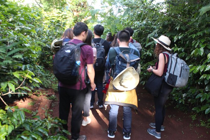 Coffee farm tour, coffee roasting and tasting experience - Small groups make the farm visit better
