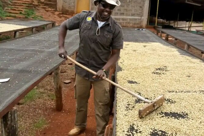 Coffee farm tour, coffee roasting and tasting experience - Getting from Nairobi to the farm