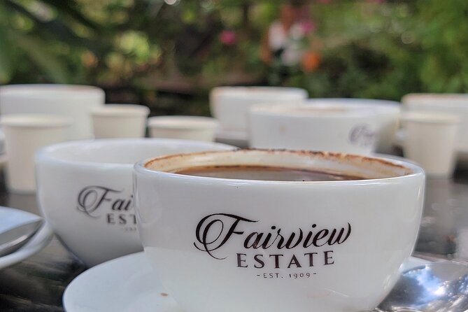 Coffee Farm Tour (Fairview) - Walking through the coffee-growing cycle