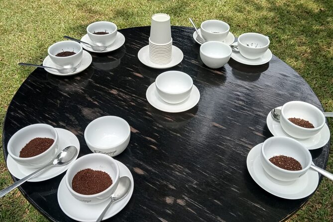 Coffee Farm Tour (Fairview) - Is the $63.92 price good value?