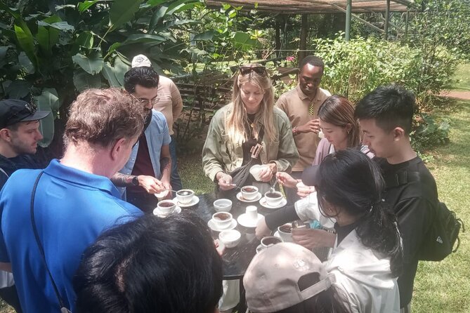 Coffee Farm Tour (Fairview) - Timing the morning or afternoon visit