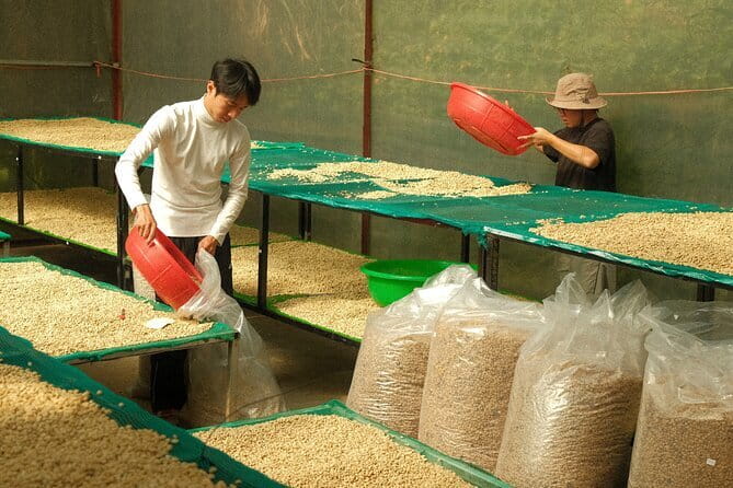 Coffee Farm Tour with Roasting & Tasting Workshop - Da Lat - Is $9.89 good value?
