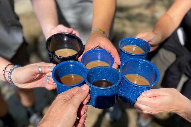 Coffee Hike to Three Waterfalls in DuPont State Forest - What the trail feels like in practical terms