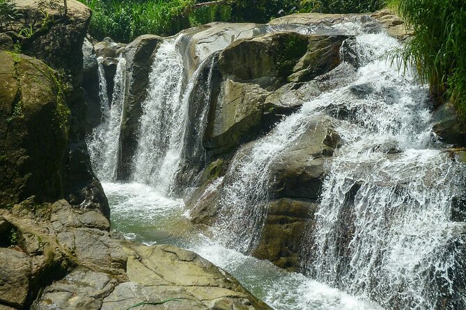 Coffee Plantation and River with Waterfalls in Puerto Rico - Booking, weather, and practical details
