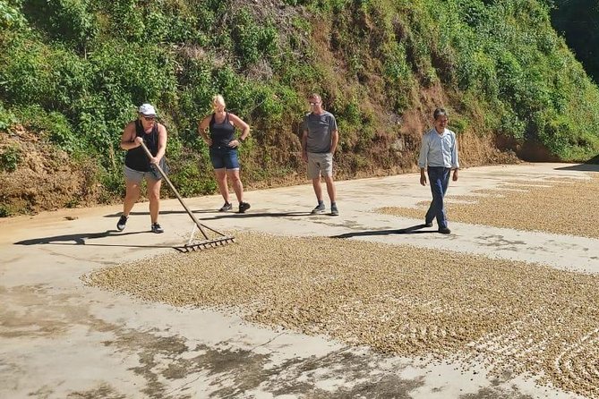 Coffee Plantation Experience - Key Points Before You Book