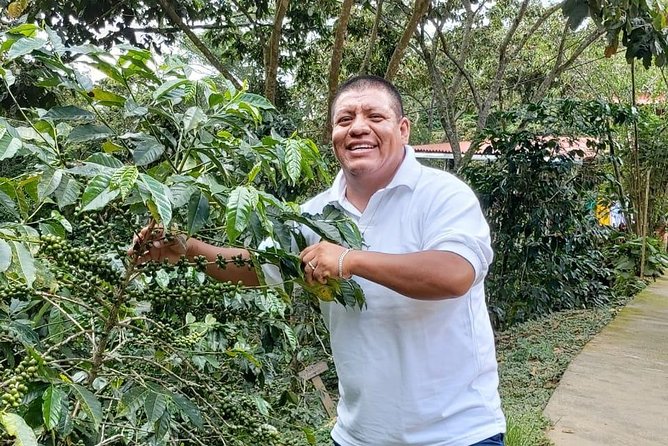 Coffee Plantation Experience - Churches, Squares, and the Road Between Stops
