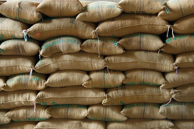 Coffee Plantation Experience - Who Will Enjoy This Coffee Tour Most