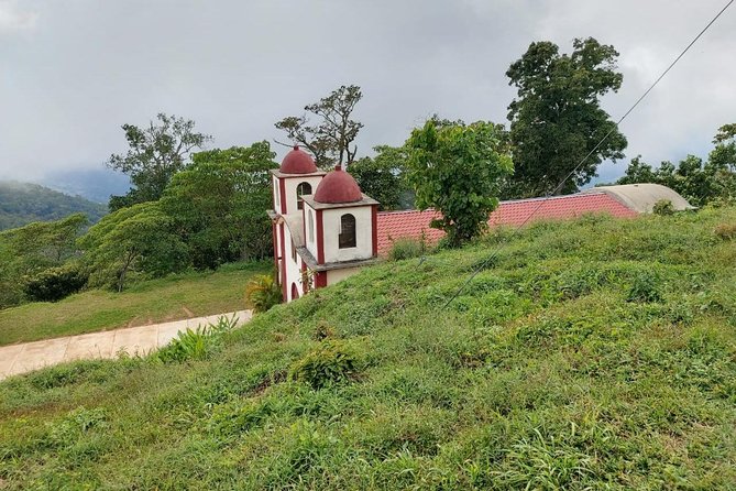 Coffee Plantation Experience - Booking Details That Deserve a Double Check