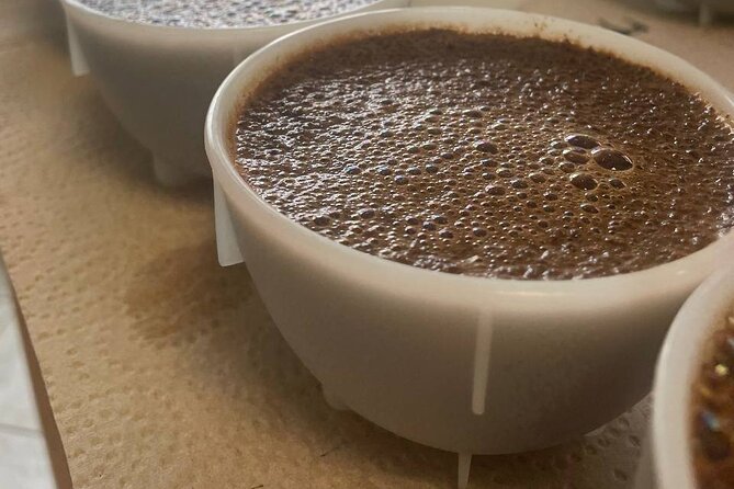 Coffee Sensory Training in Ljubljana - Learning the aromas hidden in coffee